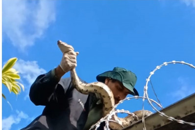 Bichinhos encontram na Guarda Ambiental de Niterói seus maiores protetores