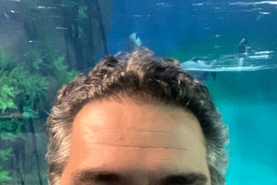  Gestão e mitigação do plástico de uso único: desafios e soluções integradas