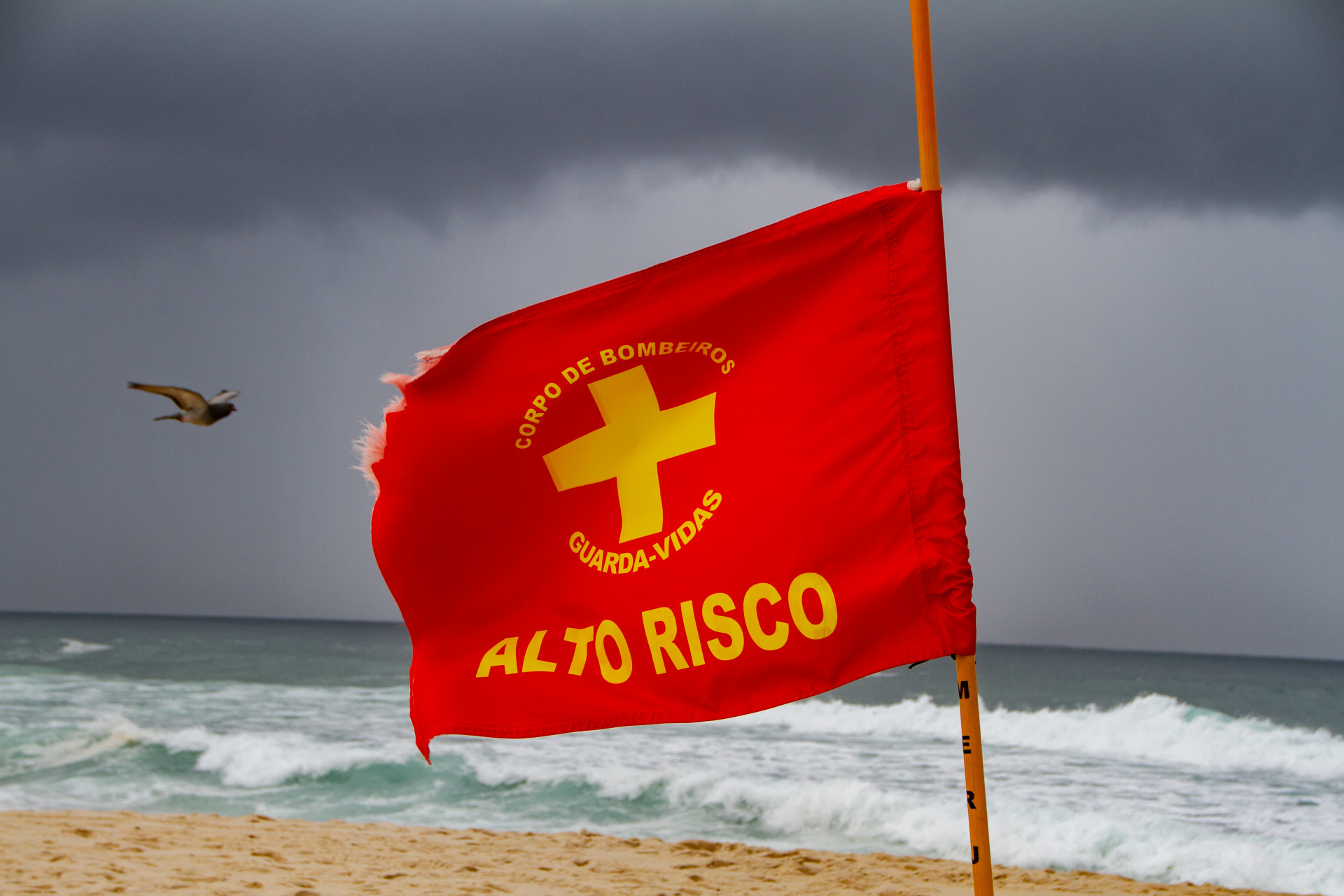 Movimentação na praia da reserva, posto 9 Barra da Tijuca, nesta quarta-feira (21). - Érica Martin/Agência O Dia