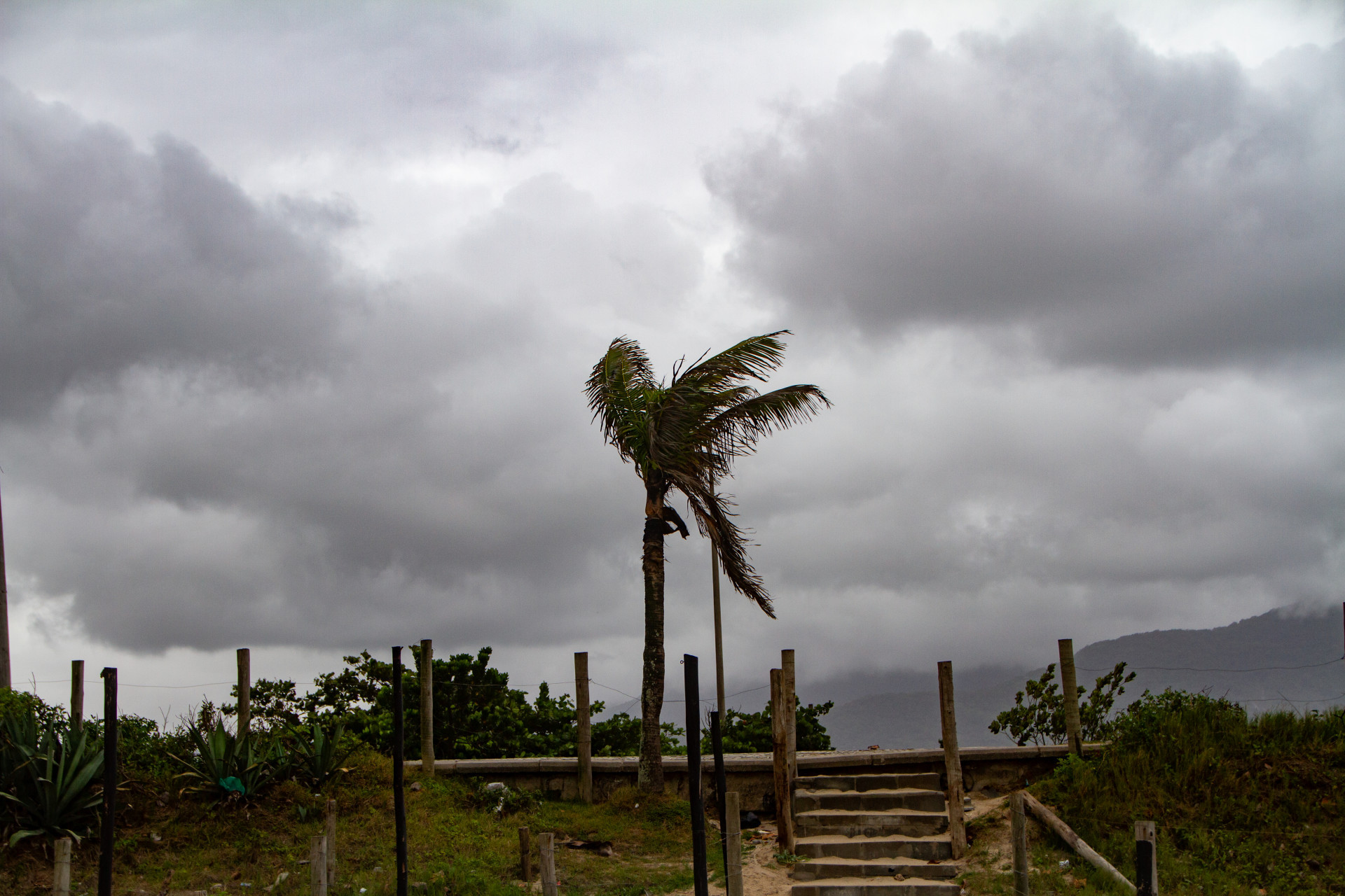 Movimentação na praia da reserva, posto 9 Barra da Tijuca, nesta quarta-feira (21). - Érica Martin/Agência O Dia
