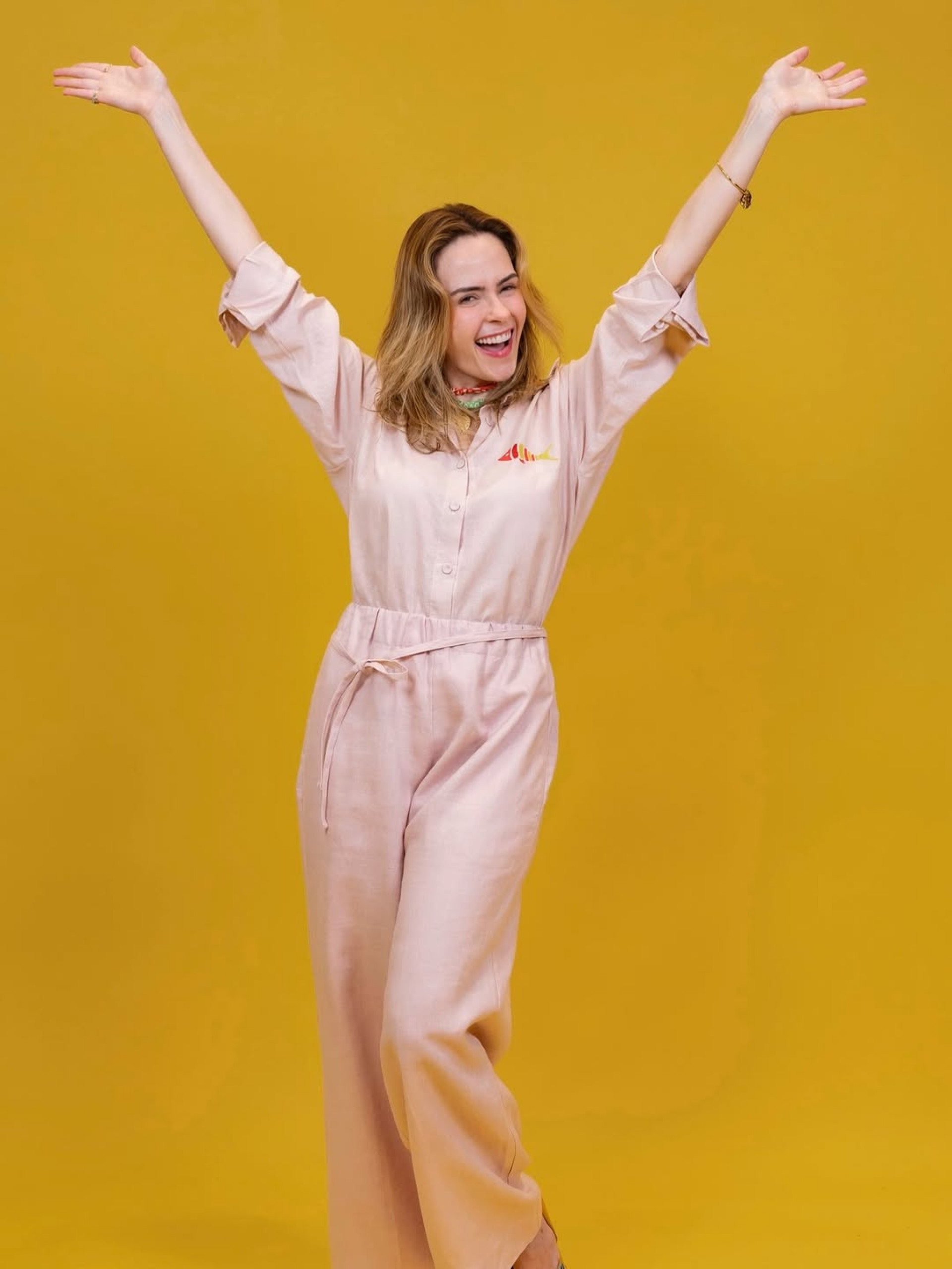 Ana Paula Renault - Reprodução / Instagram