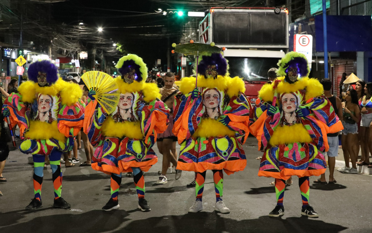 Escolas de samba locais tamb&eacute;m se apresentar&atilde;o em pontos da cidade, num carnaval popular e acess&iacute;vel 