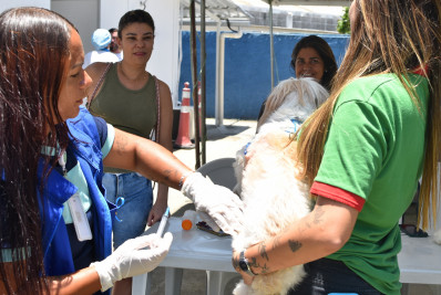 Vacinação antirrábica chega à zona rural de Cordeiro de 3 a 7 de agosto