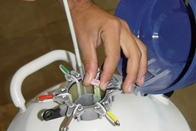 Macaé lança programa inédito de inseminação bovina e promete salto na produtividade