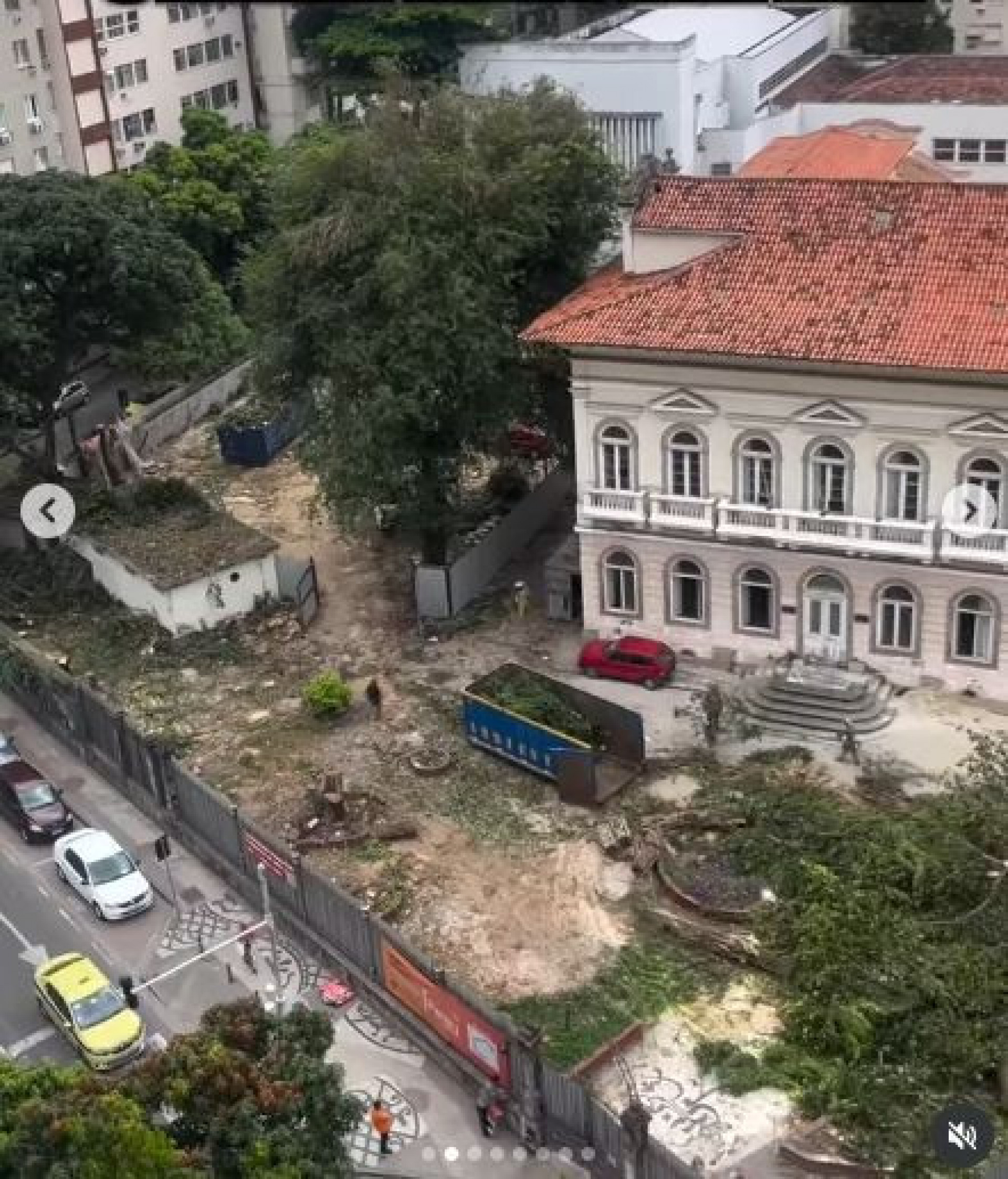 Árvores foram derrubadas na véspera do Ano Novo