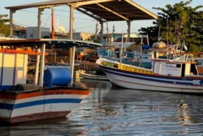 Defeso do camarão impede a pesca do crustáceo por três meses