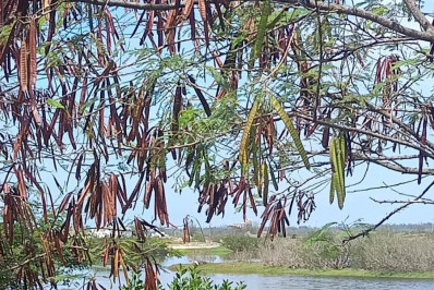 Corpo de homem é encontrado na Praia do Siqueira, em Cabo Frio