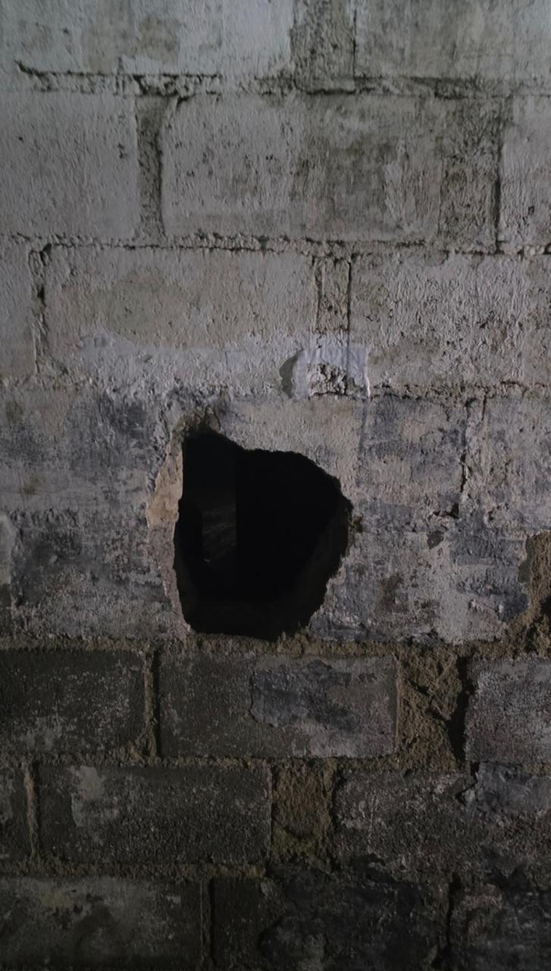 Tentativa de fuga envolveu corda e buraco em muro do Instituto Penal Plácido de Sá Carvalho