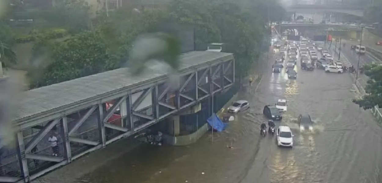 Temporal em São Paulo provoca alagamentos e quedas de árvores