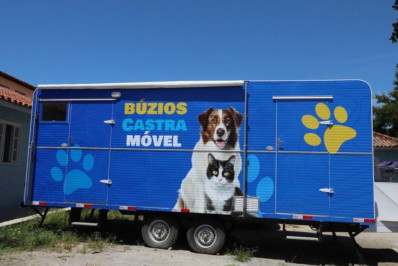 Secretaria de Proteção Animal de Búzios amplia atendimentos e anuncia novidades