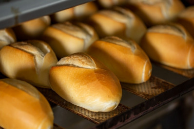 Padarias de Rio das Ostras entram em rota de modernização com programa nacional