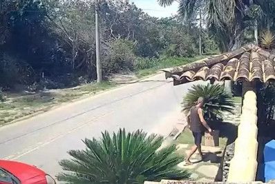 Homem é detido após abandonar filhotes de gato na Rasa, em Búzios