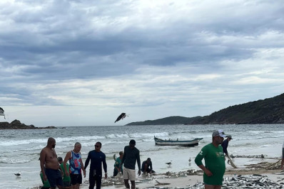 Pesca artesanal rende quatro toneladas de ubarana na Praia do Pontal, em Arraial do Cabo