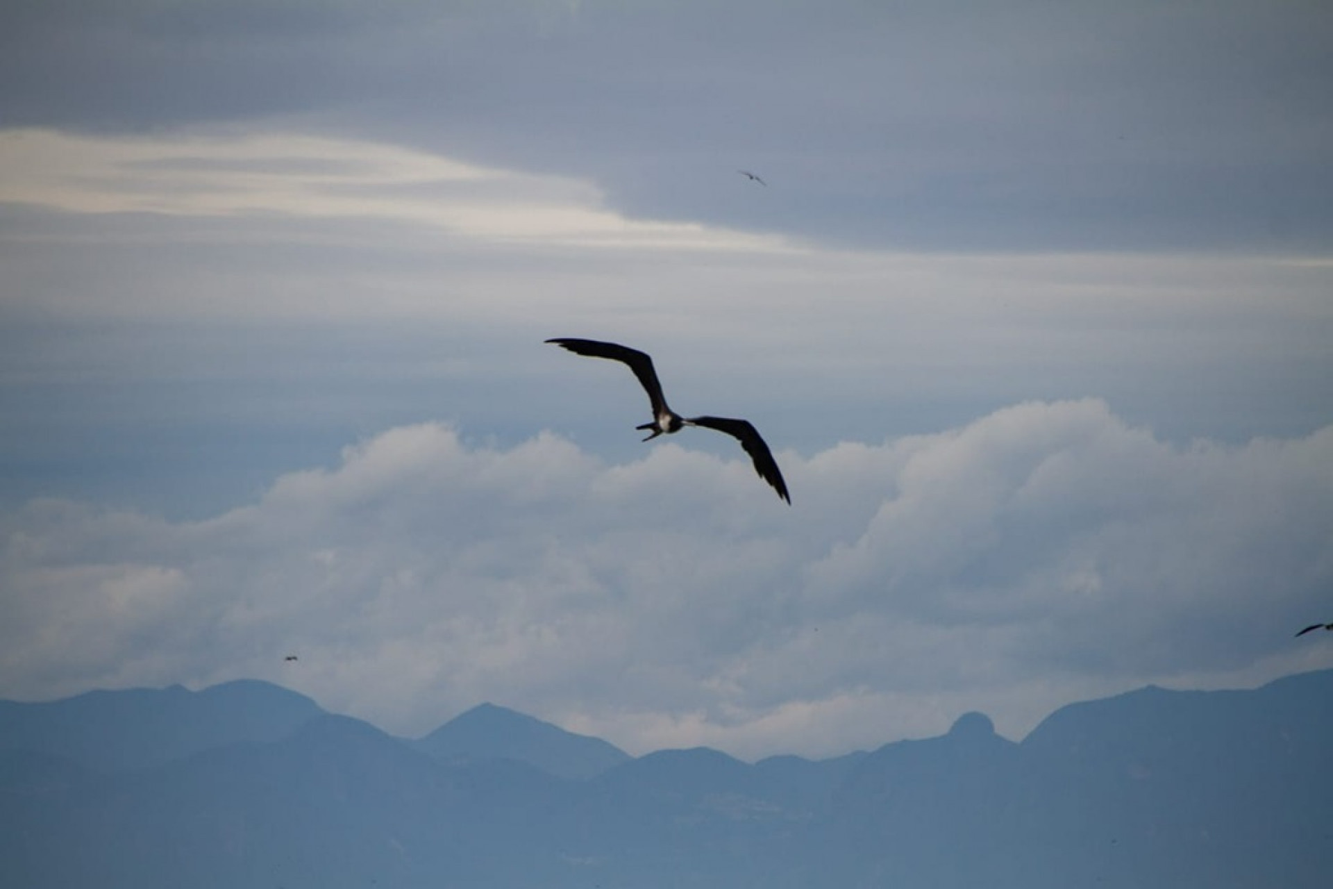 Sexta-feira de céu encoberto no Rio - Érica Martin/Agência O Dia
