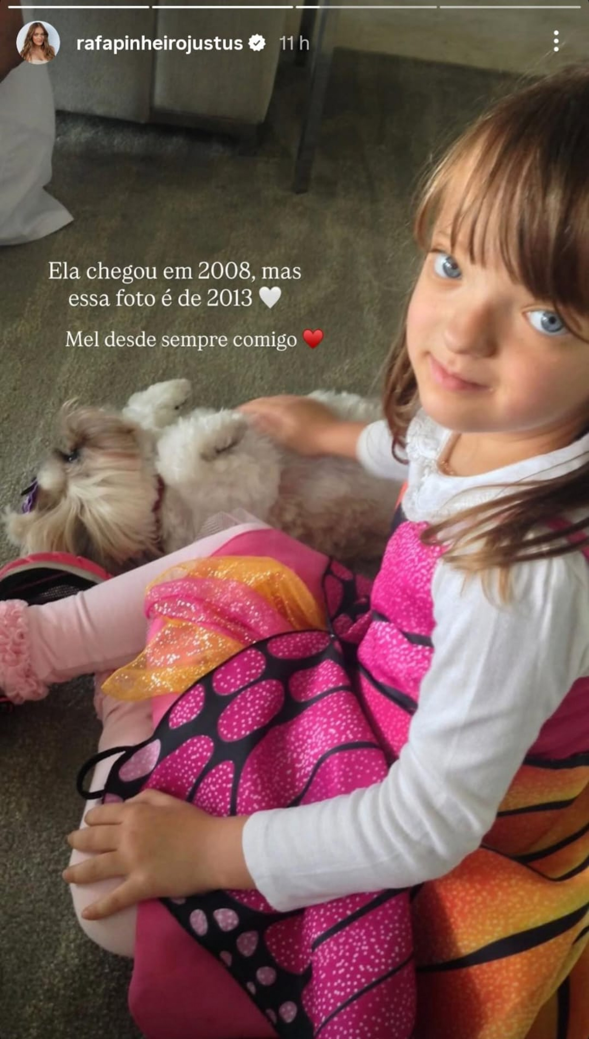 Rafa Justus celebra aniversário da cachorra de estimação, Mel - Reprodução / Instagram