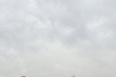 Angélica e Luciano Huck viajam ao Egito com os filhos e amigos