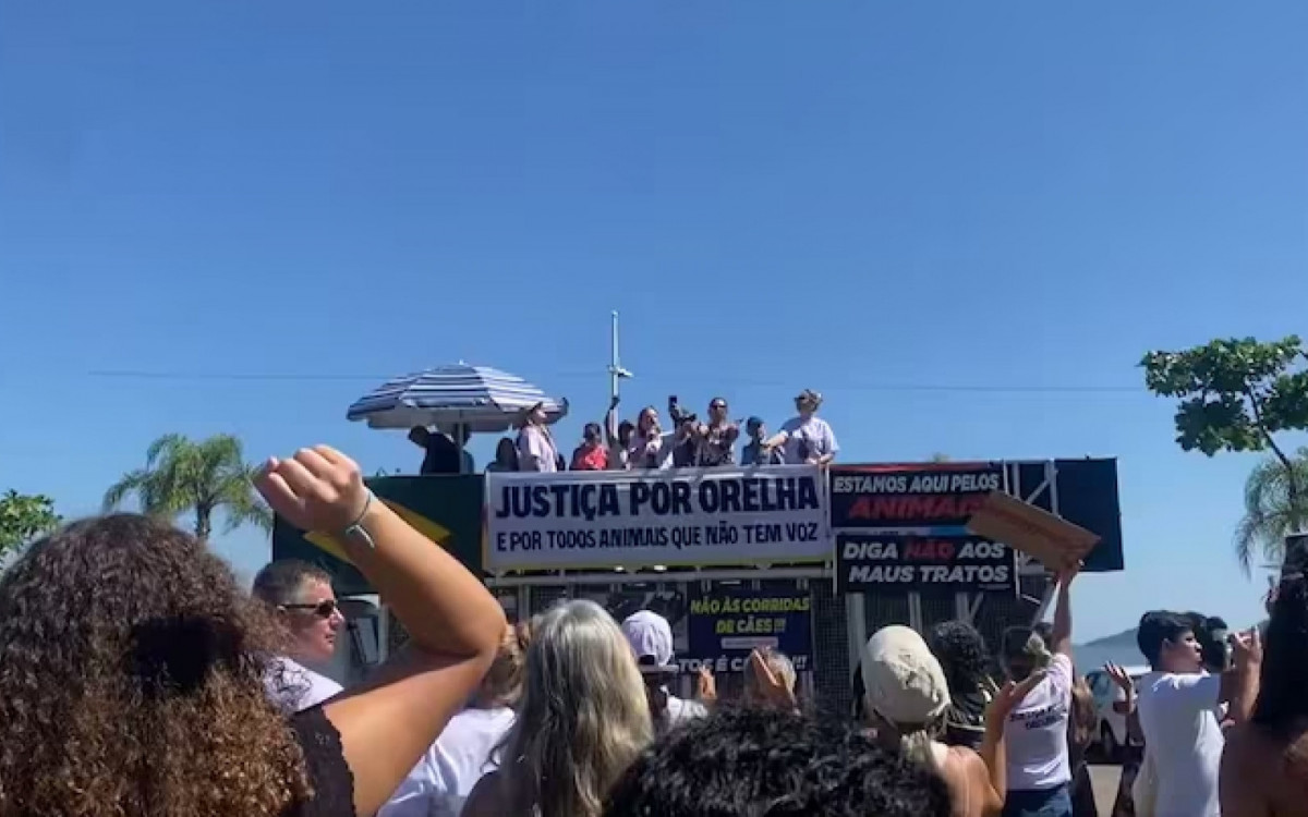 Em Florianópolis, onde Orelha foi morto, o protesto ocorre no trapiche da Avenida Beira Mar Norte