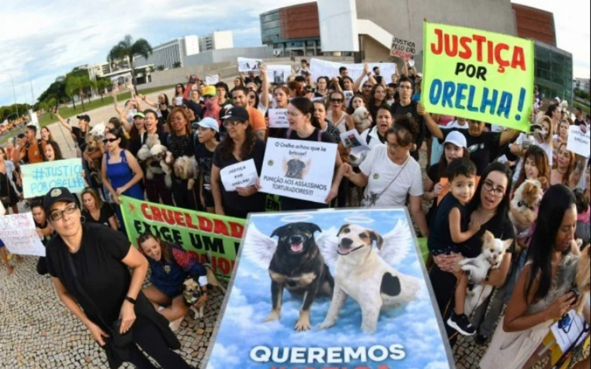 Atos tiveram a presença de parlamentares, ativistas e artistas