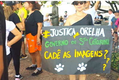 Tortura contra cão expõe contradições sobre Maioridade Penal