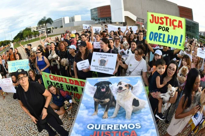 Morte do cão Orelha mobiliza artistas e manifestantes em protestos pelo Brasil