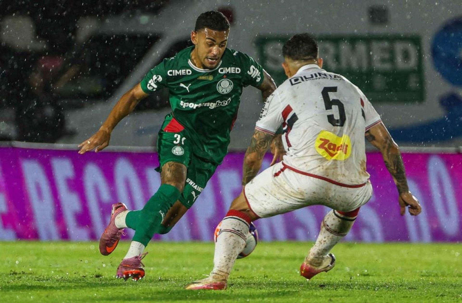 Palmeiras n&atilde;o aproveita vantagem e perde para o Botafogo no Paulist&atilde;o