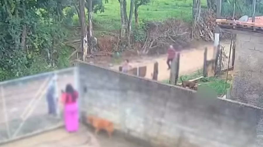 Vídeo! Bebê de 10 meses morre após ataque de pitbull no interior de São Paulo
