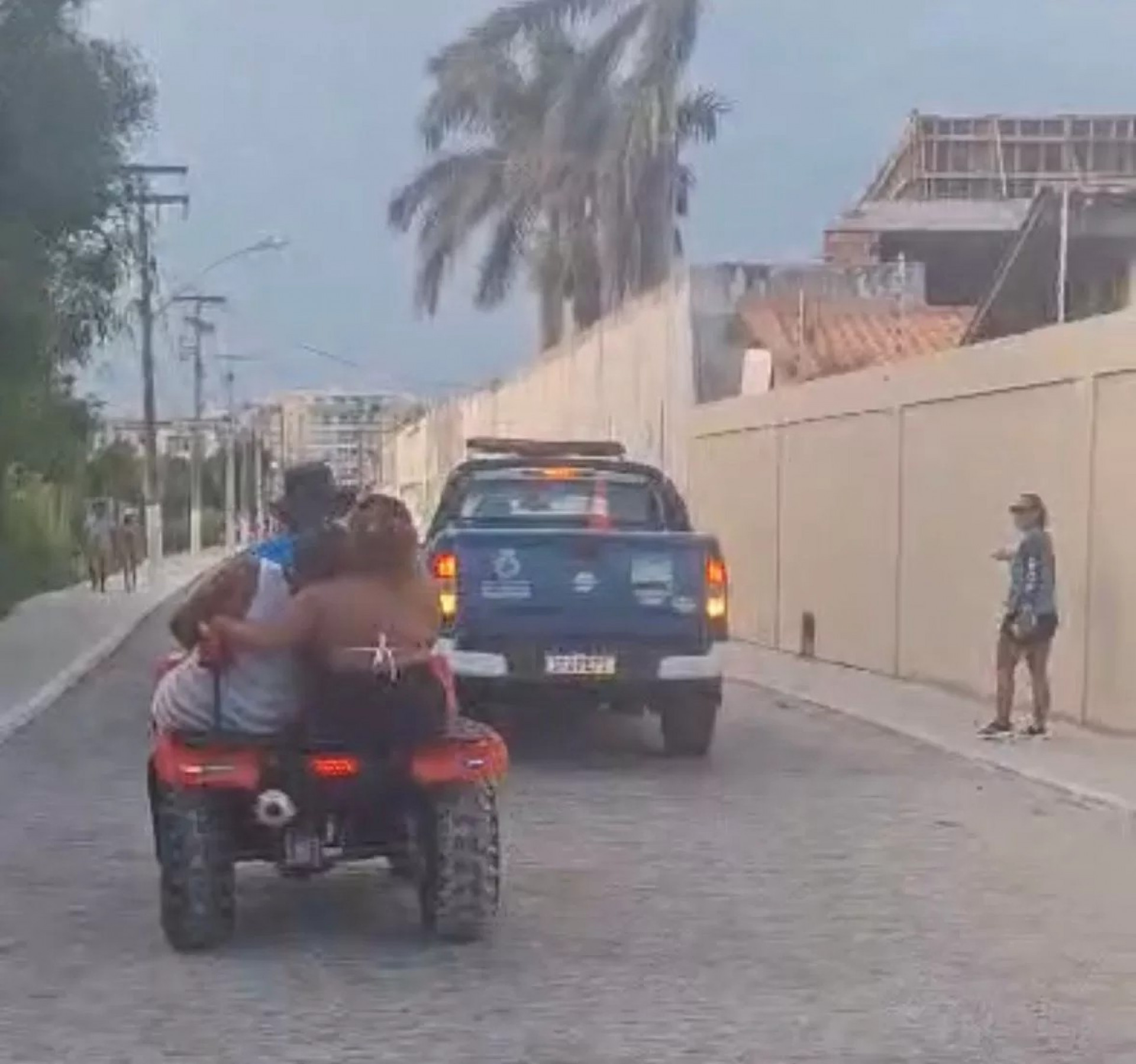 Resgates de jiboias - Ascom