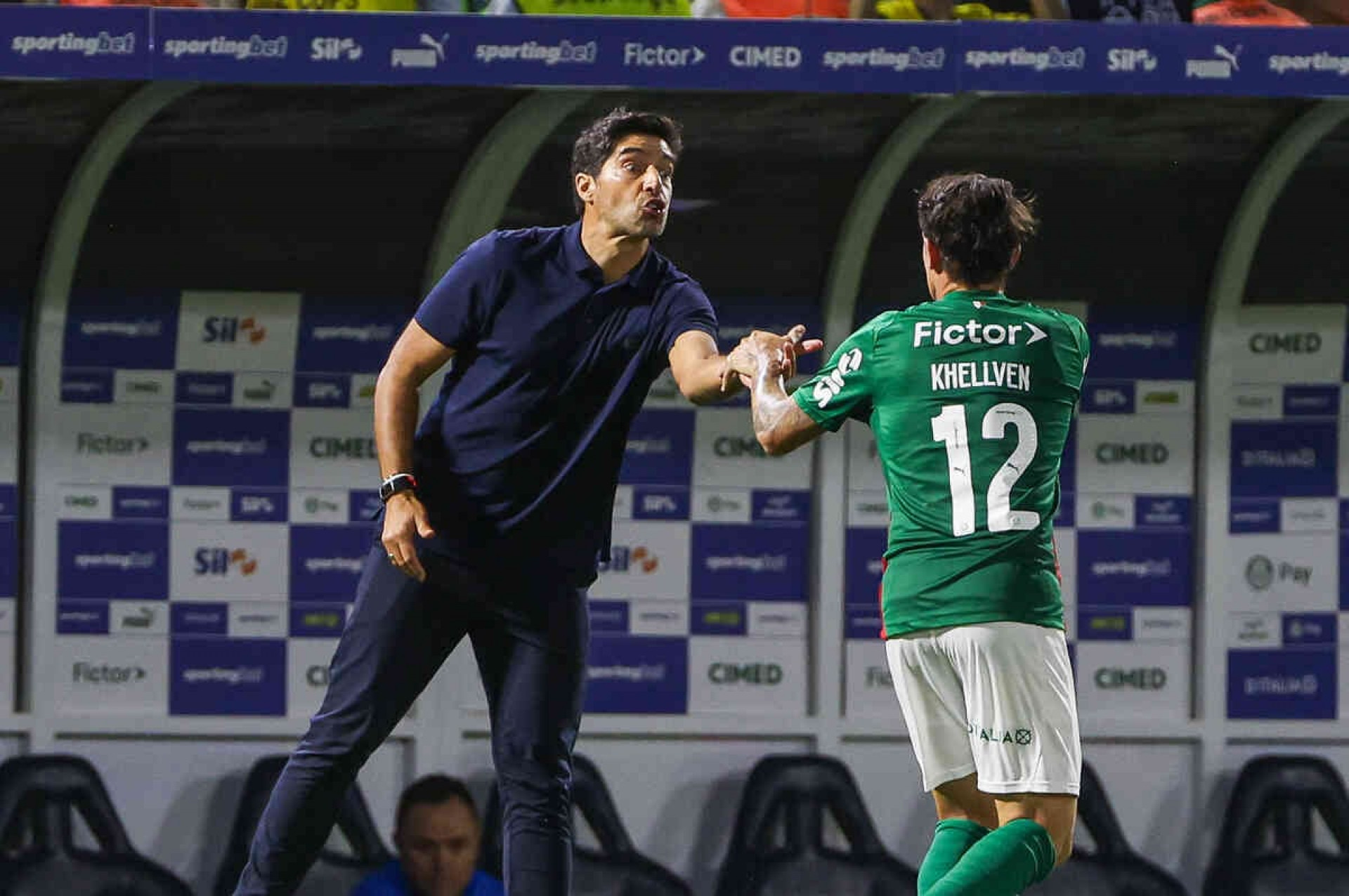 Palmeiras aposta em Barueri para reagir e buscar recorde como mandante