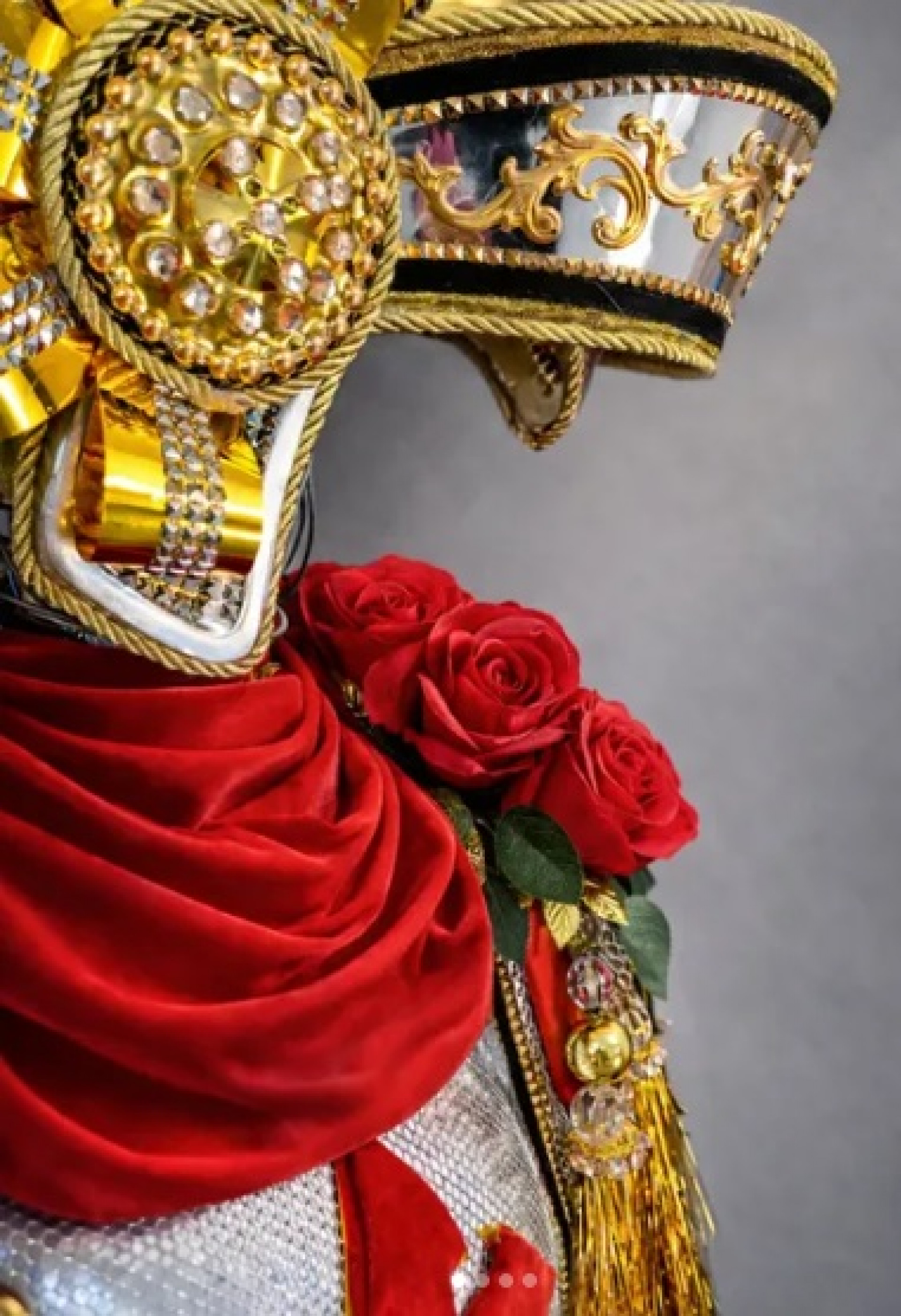 Detalhe de fantasia da Unidos do Jacarezinho - Divulga&ccedil;&atilde;o / Jacarezinho