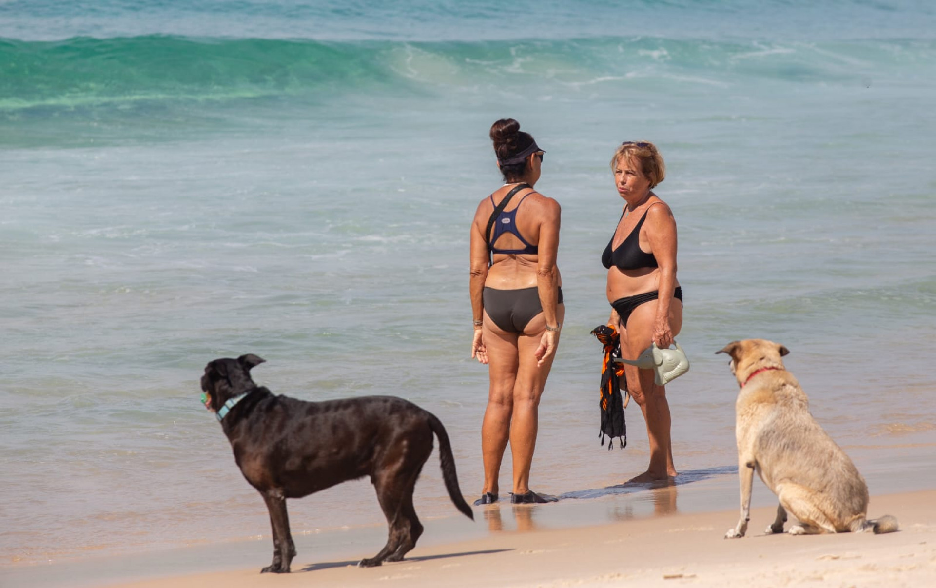 Sol apareceu entre nuvens e levou cariocas à praia na manhã desta quinta-feira (5) - Érica Martin/Agência O DIA