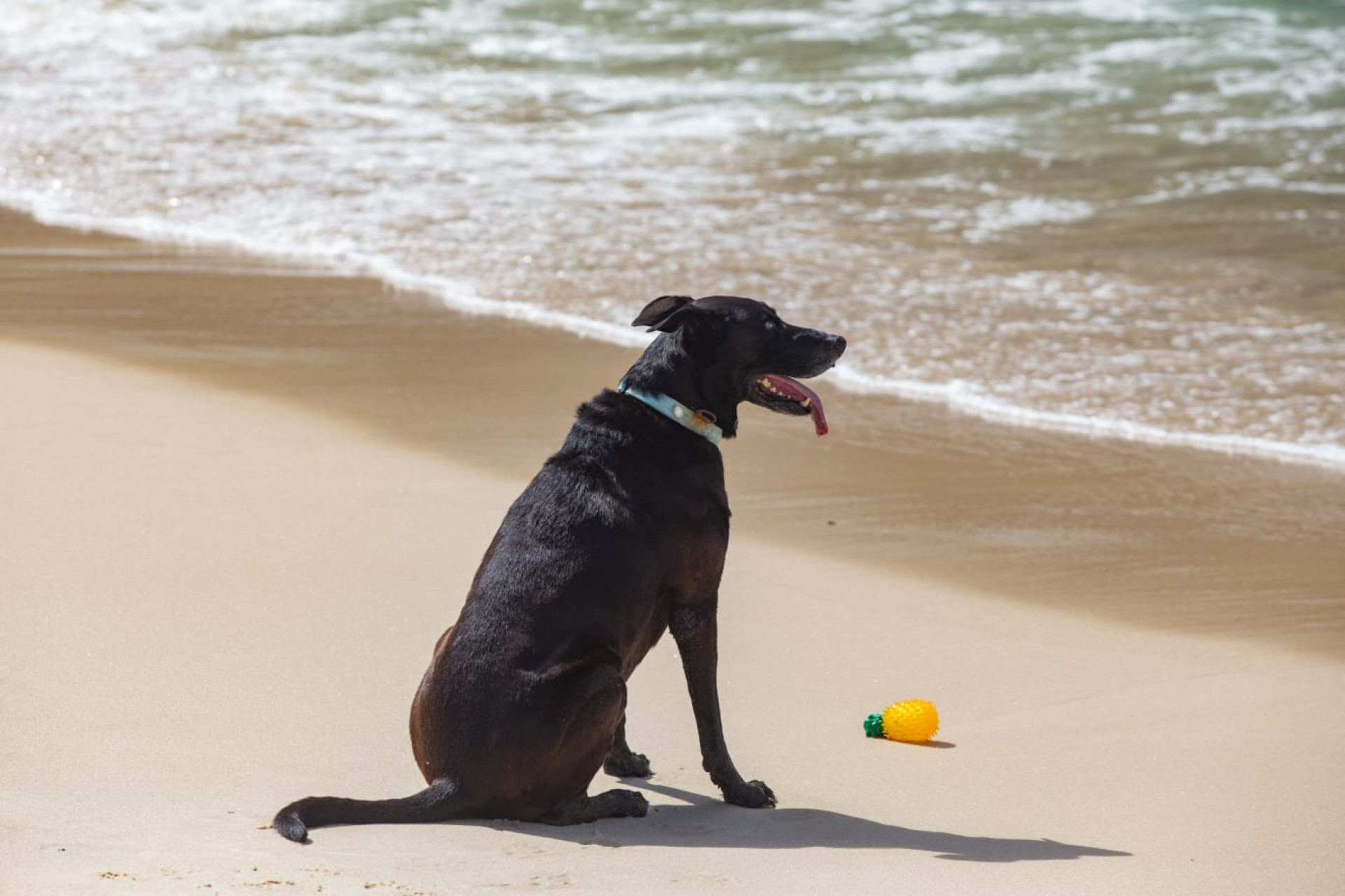 Sol apareceu entre nuvens e levou cariocas à praia na manhã desta quinta-feira (5) - Érica Martin/Agência O DIA