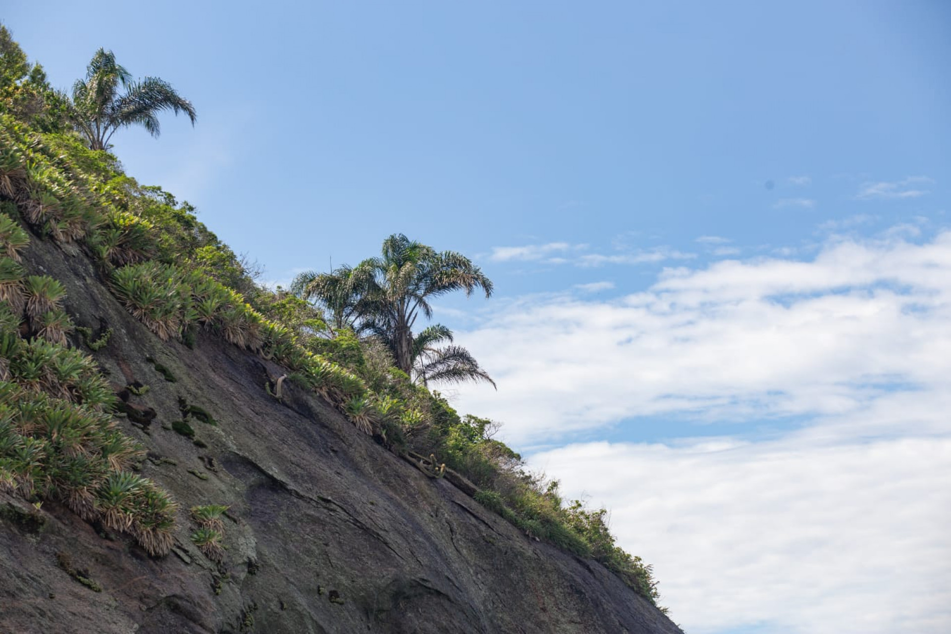 Sol apareceu entre nuvens e levou cariocas à praia na manhã desta quinta-feira (5) - Érica Martin/Agência O DIA