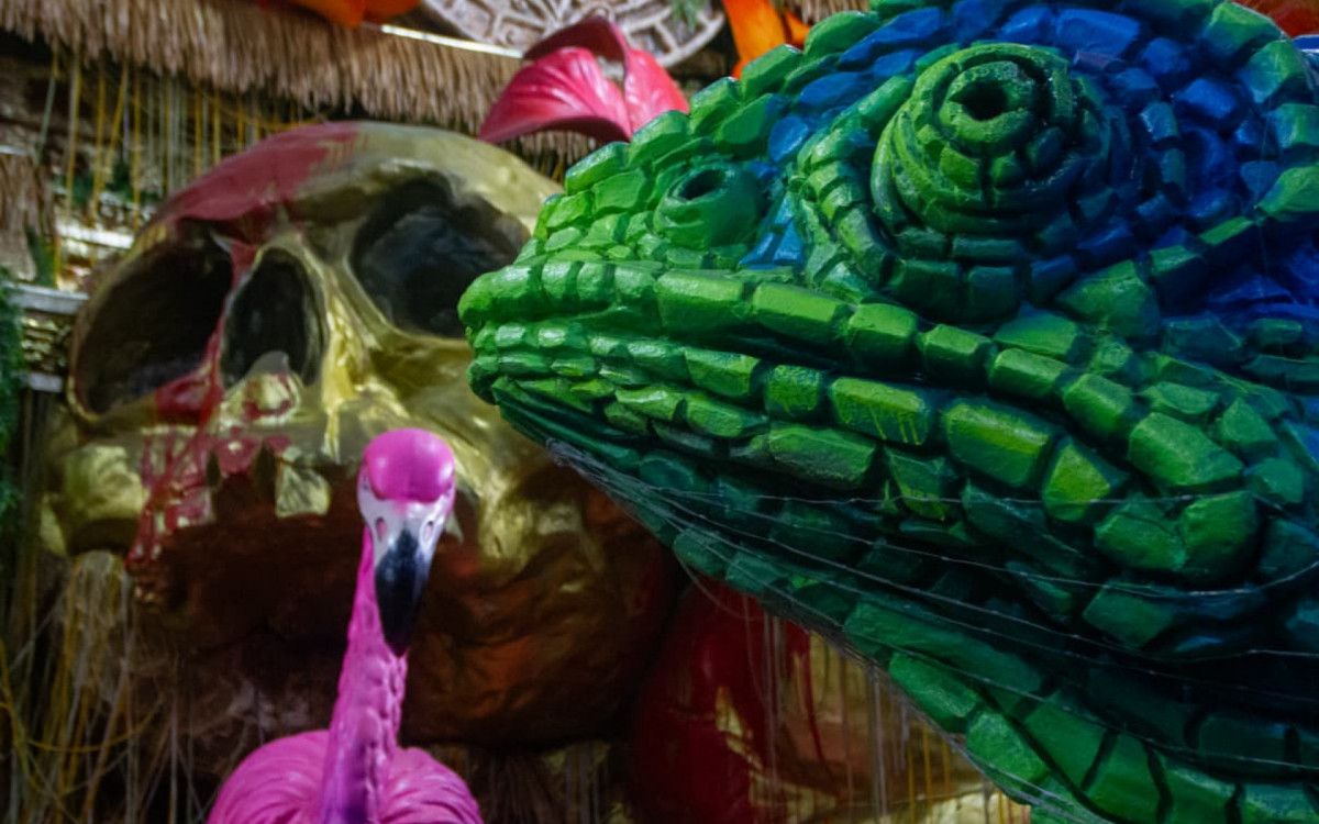 Alegoria da Imperatriz Leopoldinense dentro do enredo sobre Ney Matogrosso