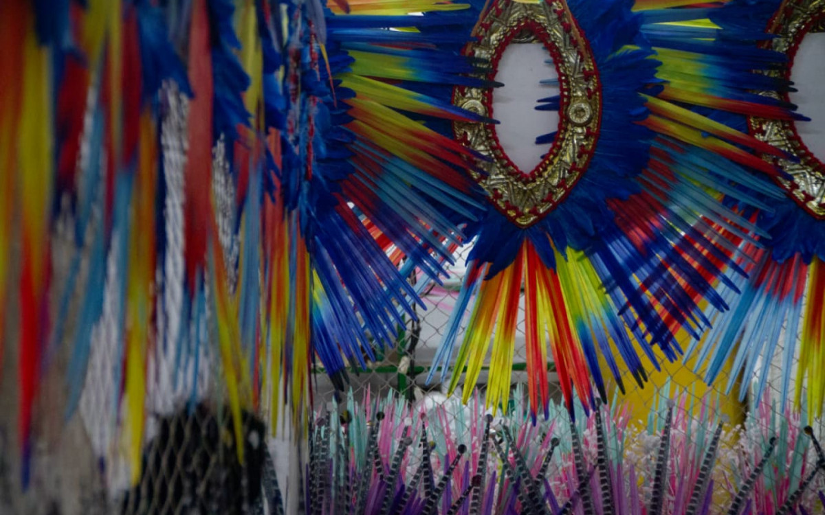 Detalhe de alegorias da Imperatriz Leopoldinense para o Carnaval 2026