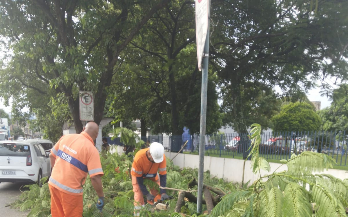 &Aacute;rvore caiu sob fia&ccedil;&atilde;o na Estrada Mori&ccedil;aba, em Campo Grande
