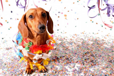 São Gonçalo Shopping promove Bailinho Pet