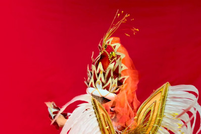 Com fantasias esgotadas no Grupo Especial, Série Ouro é opção para quem ainda sonha em desfilar