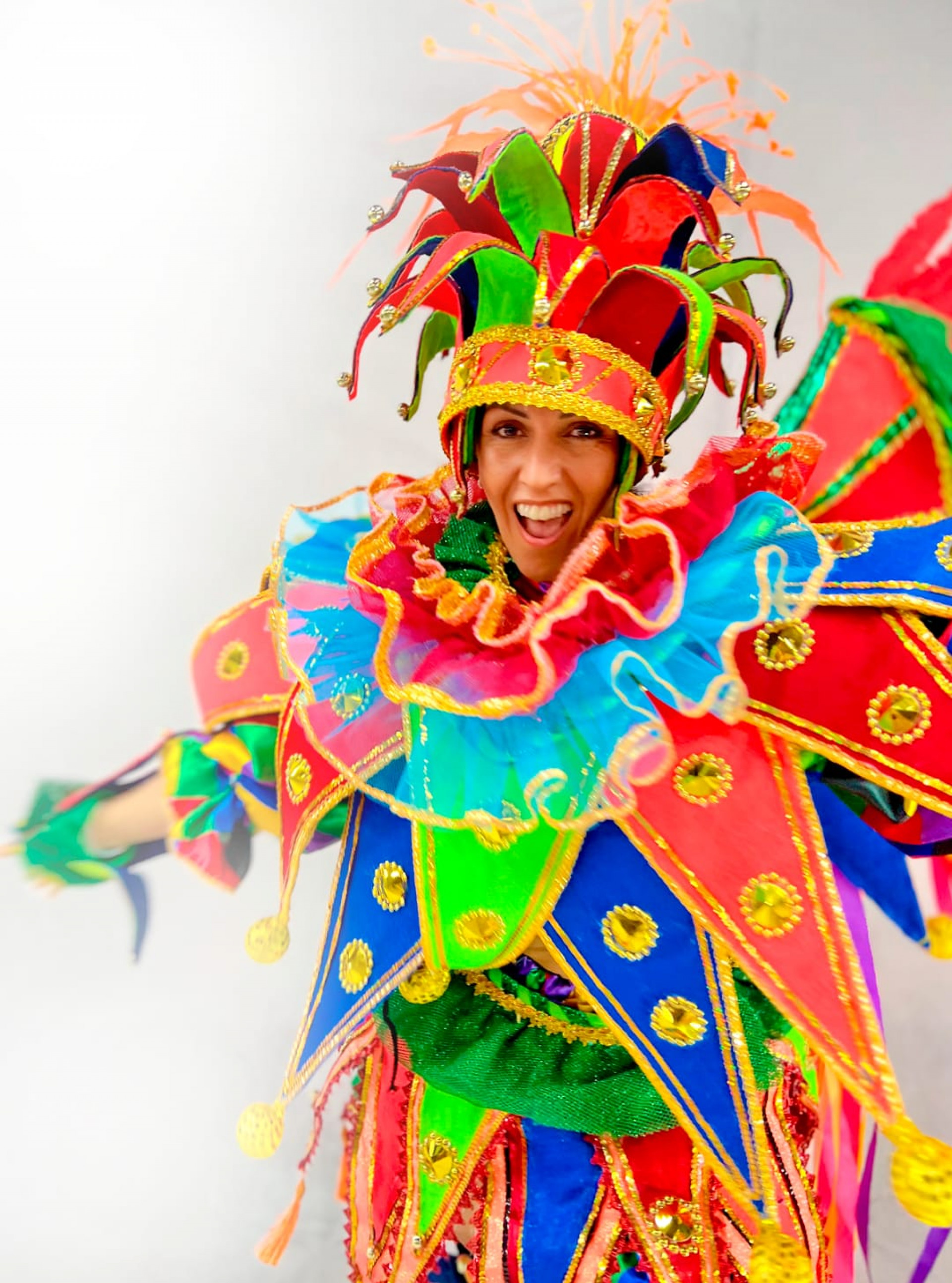 Fantasia de abre-alas da Est&aacute;cio de S&aacute;, no valor de R$ 1500