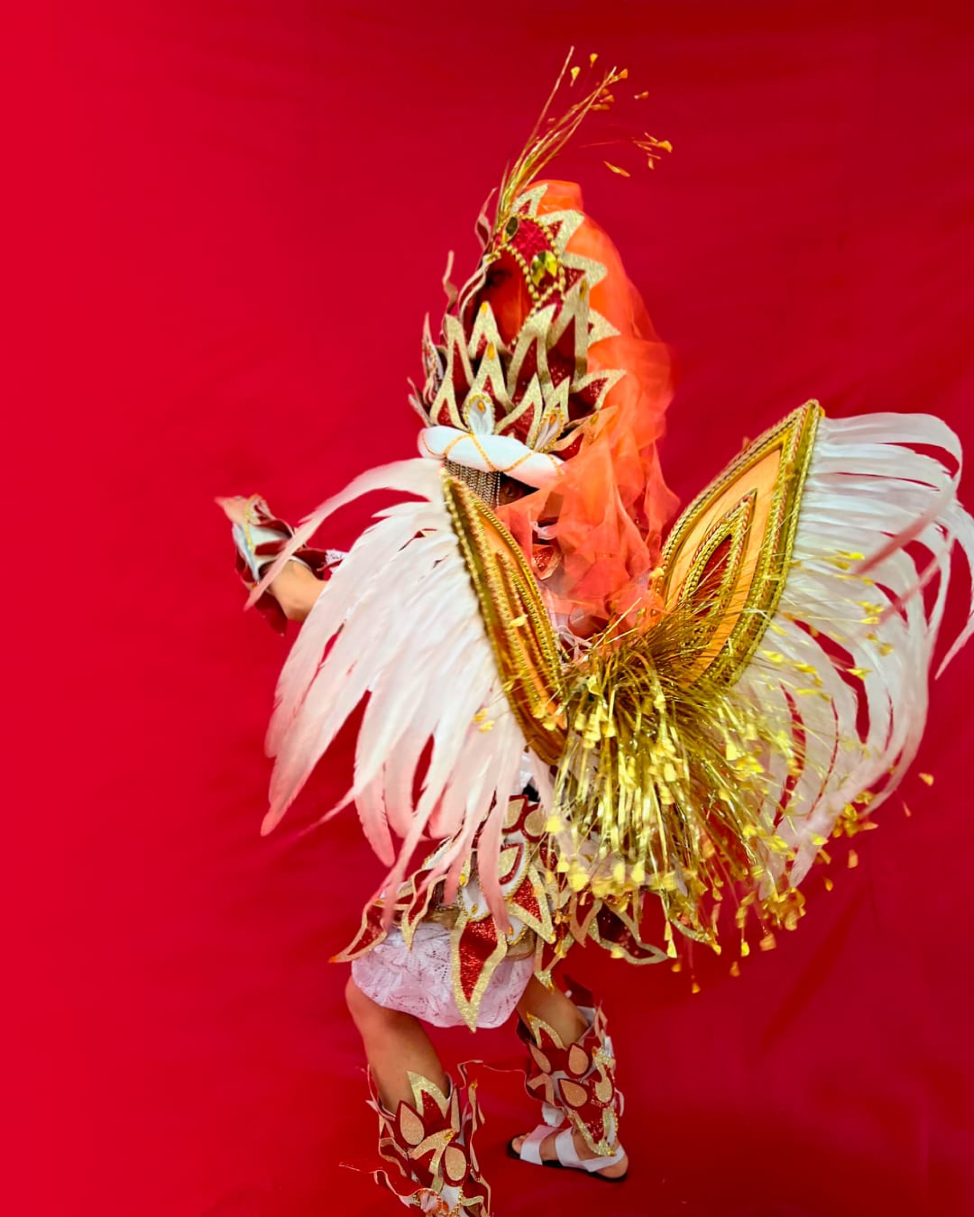 Fantasia para compor o terceiro carro aleg&oacute;rico, no valor de R$ 1500