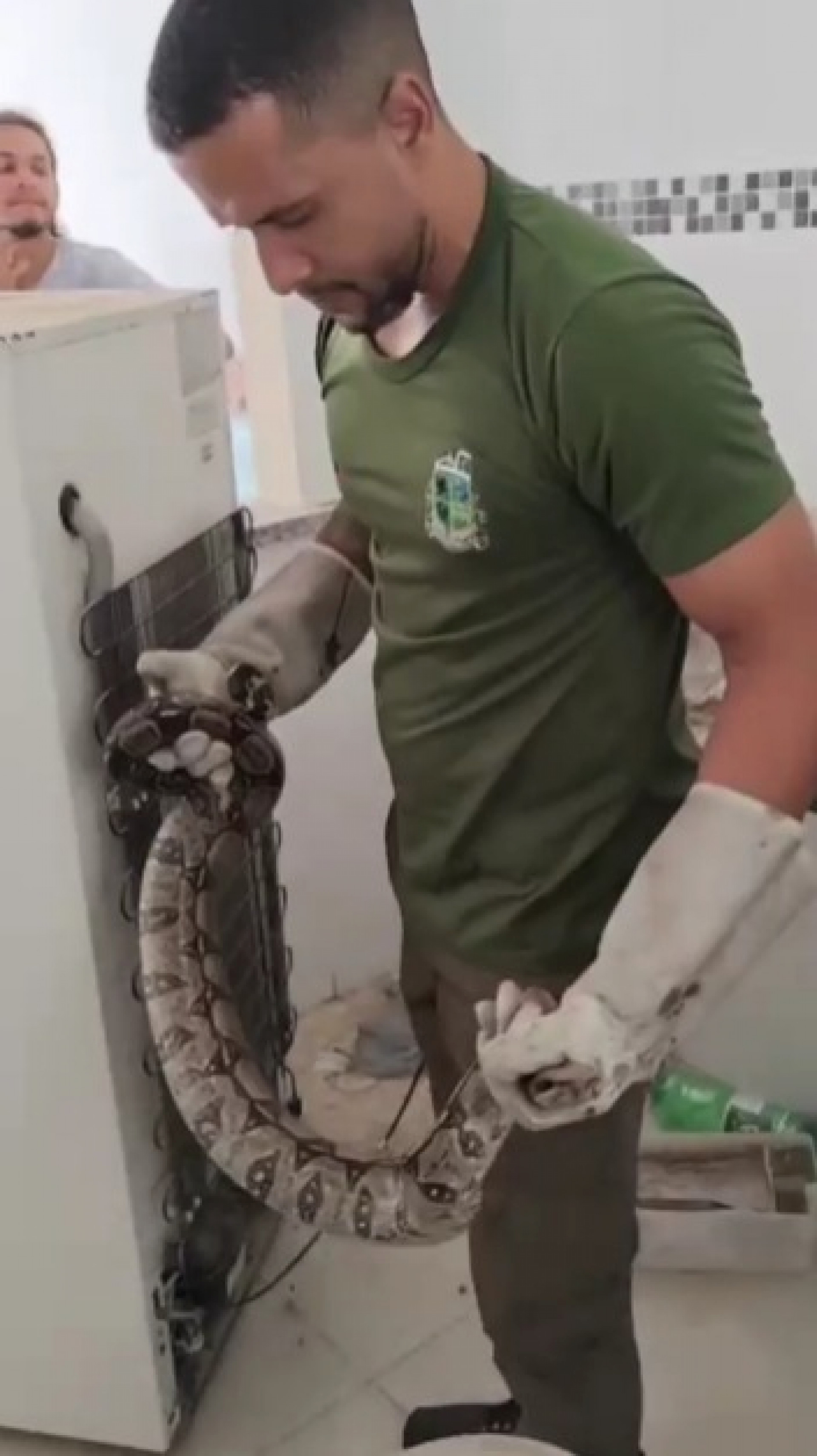 Guarda Ambiental de Saquarema resgata jiboia em residência de Jaconé - Divulgação/Prefeitura de Saquarema