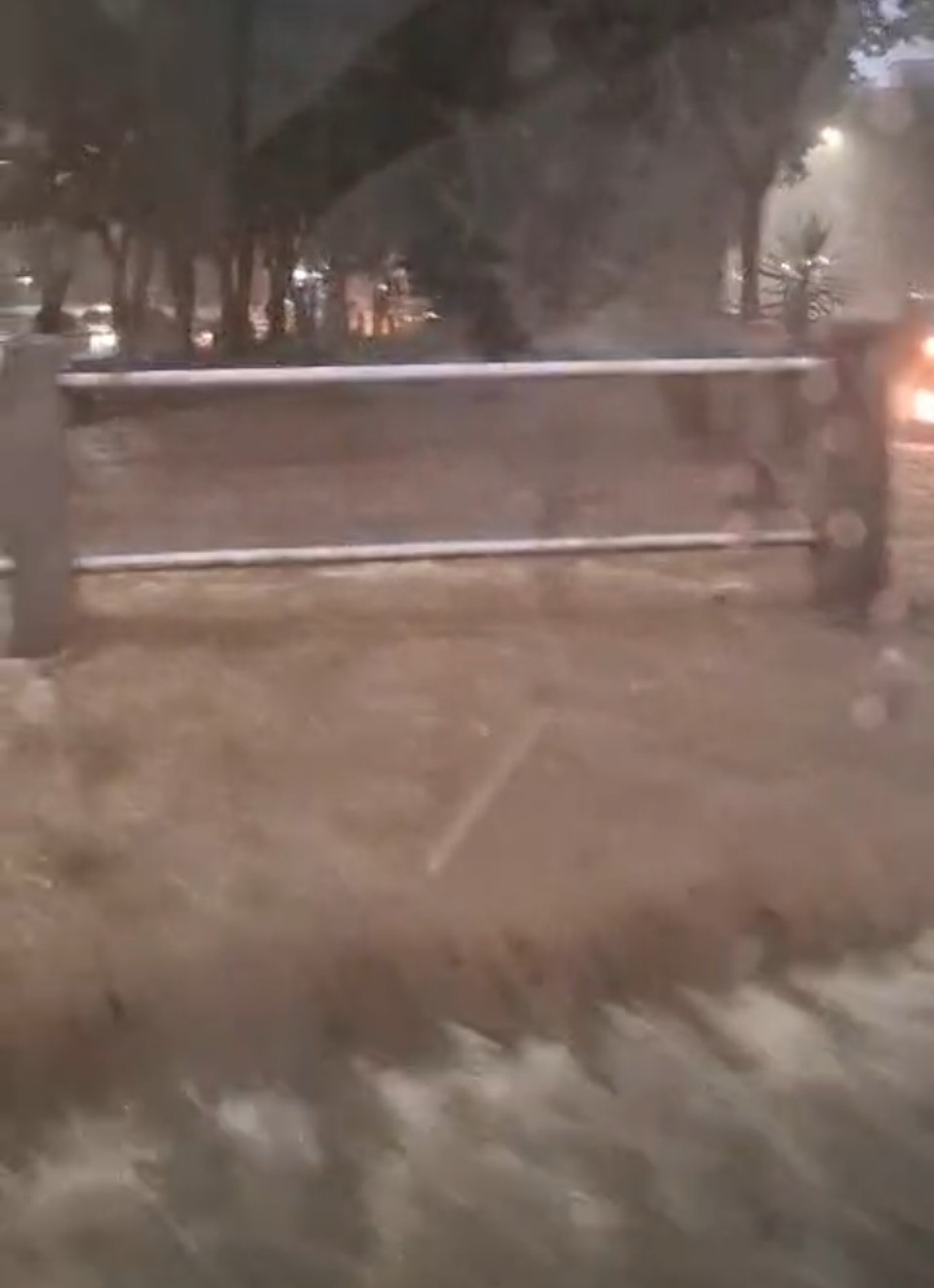 Em Vila Valqueire, na Zona Norte, um rio transbordou por causa do temporal - Reprodução