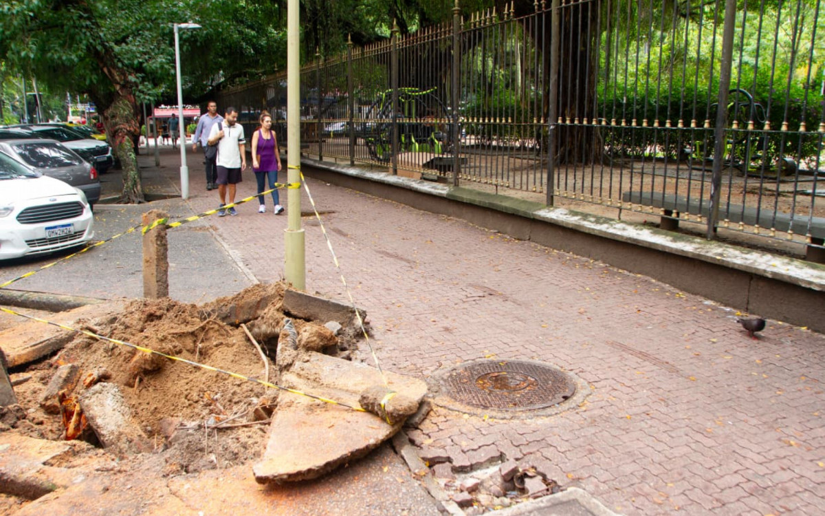 Durante as chuvas, uma árvore caiu na Rua Maria Quitéria, altura da Praça Nossa Senhora da Paz, em Ipanema - Érica Martin/Agência O DIA