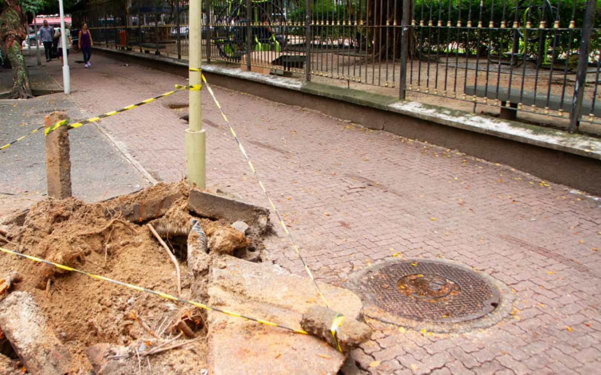 Durante as chuvas, uma árvore caiu na Rua Maria Quitéria, altura da Praça Nossa Senhora da Paz, em Ipanema - Érica Martin/Agência O DIA
