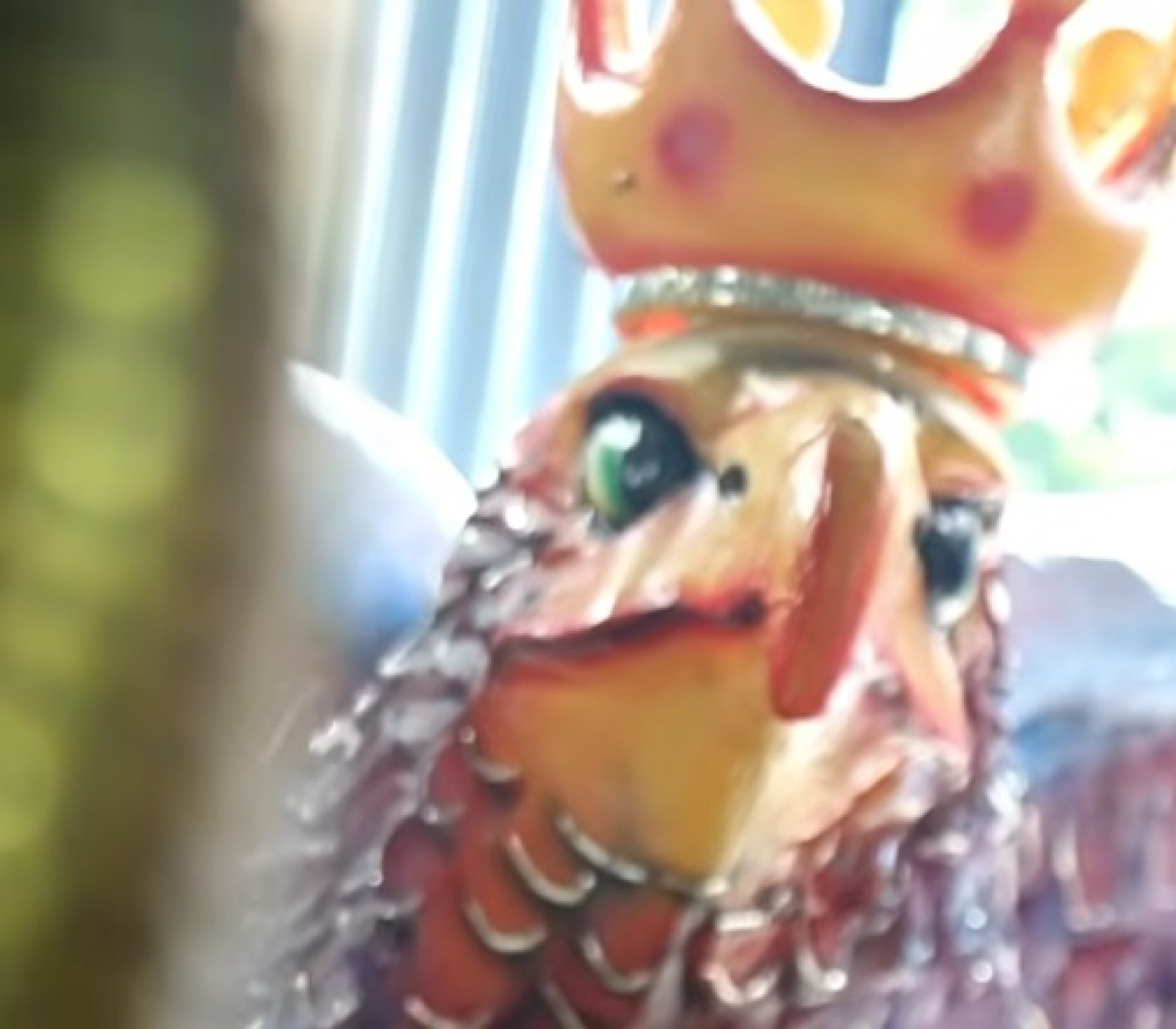 Unidos da Ponte encerra os desfiles da Série Ouro na Sapucaí - Reprodução / Vídeo