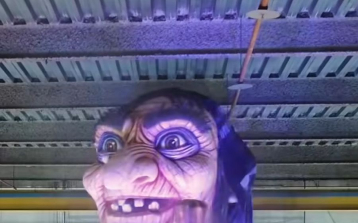 Salgueiro ter&aacute; enredo em homenagem a Rosa Magalh&atilde;es