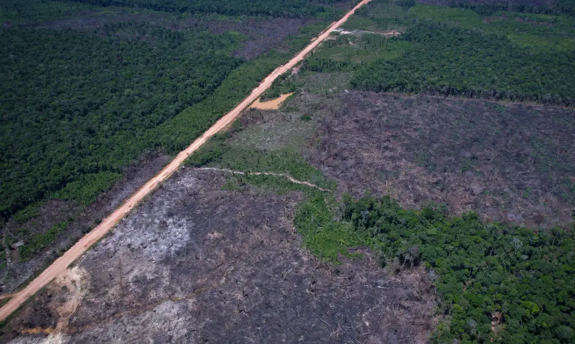 Alertas de desmatamento caem 35% na Amazônia e 6% no Cerrado