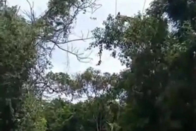 Homem é encontrado morto com marcas de tiros em São Pedro da Aldeia