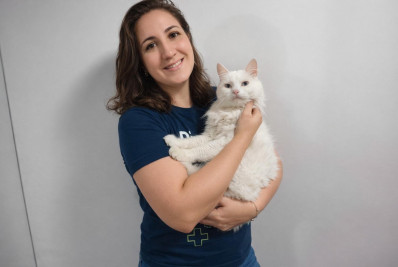 Tipagem sanguínea felina pode salvar vidas em atendimentos de urgência