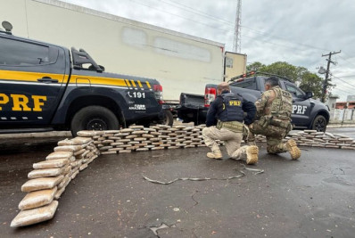 MA: Carga de 213 kg de skunk é interceptada em caminhão frigorífico