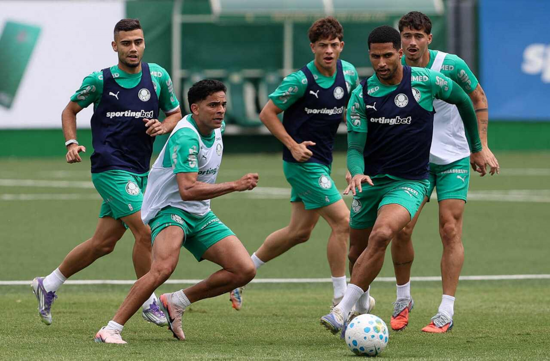 Palmeiras x Guarani: onde assistir, escala&ccedil;&otilde;es e arbitragem